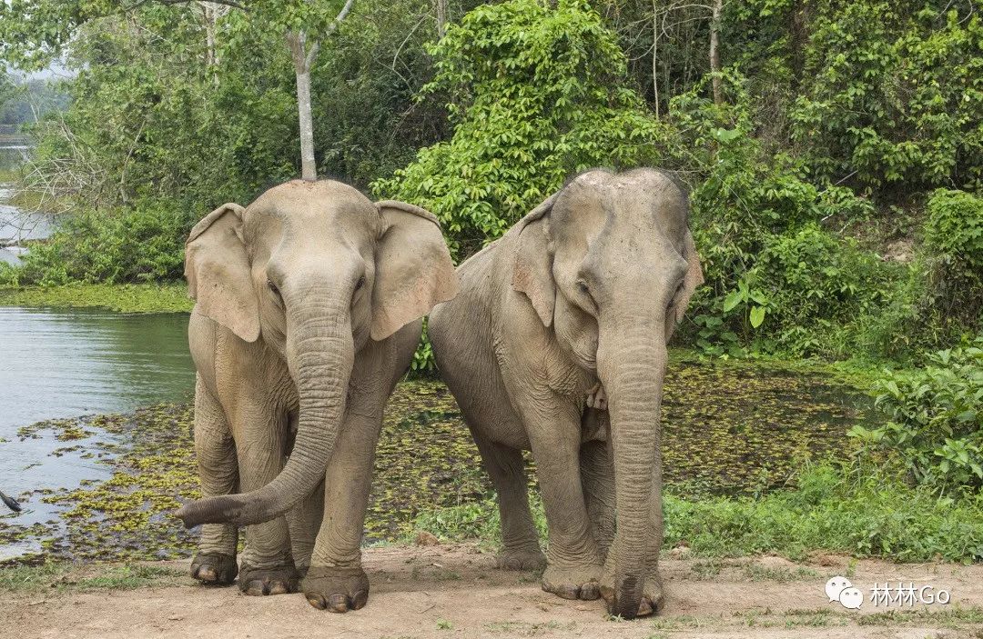 老挝上次场上险胜欧国联比赛